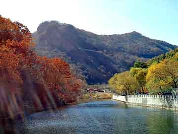 澳彩资料免费长期公开，康派装饰